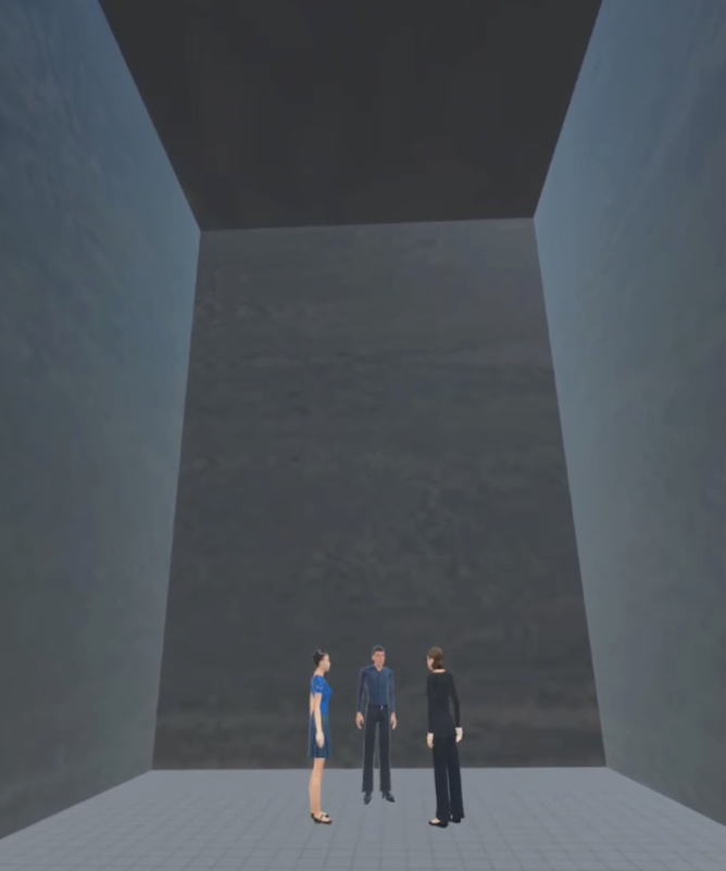 VR Environment